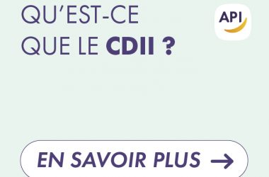 Qu'est ce que le CDII ?